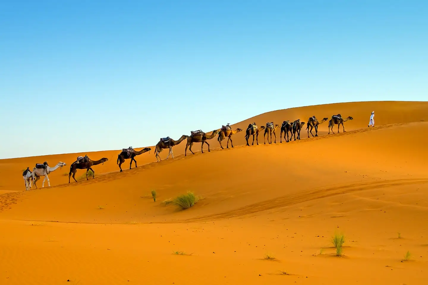 3-Day Merzouga desert tour from Marrakech